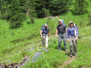 Approaching Indian Bar