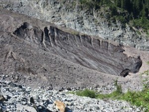 Carbon Glacier