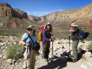 Dropping into the canyon