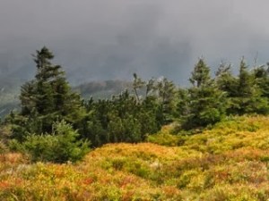 Sunshine against clouds