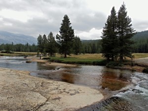 One of the forks of Tuolumne River
