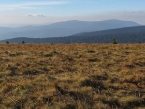 Typical ridge of  Jeseniky Mountains