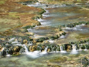 The flow of the river