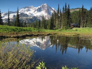 Indian Henry's Hunting Ground