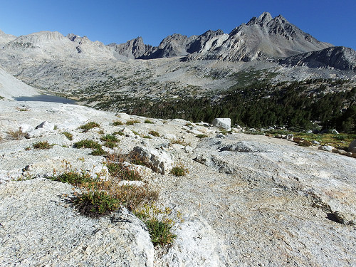 Trail towards Pinchott Pass