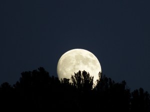 Moon Rise above Purple Lake