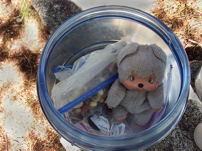 Look what happens if you leave your bear can open