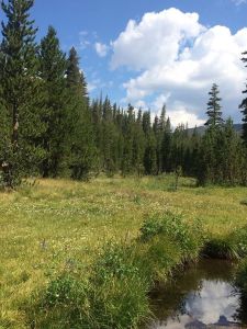 Pleasant scenery at Deer Creek area