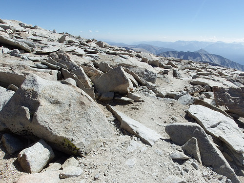 Trail shortly before reaching the summit shelter.