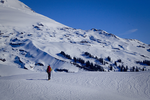 Mt. Baker from Morovitz Meadow