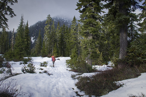 Strolling across Schrieber's Meadow