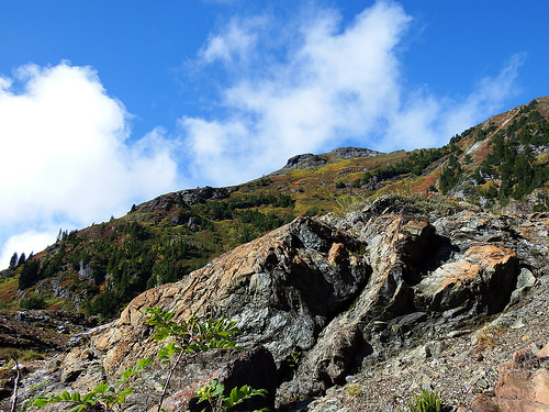 The trails quickly climbs out of the trees and offers incredible views.
