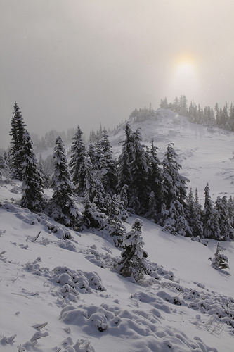 Sun is trying to break through the clouds
