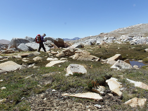 Trail South of Forester Pass