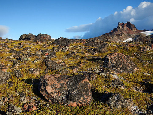 The sunshine returns in the late afternoon