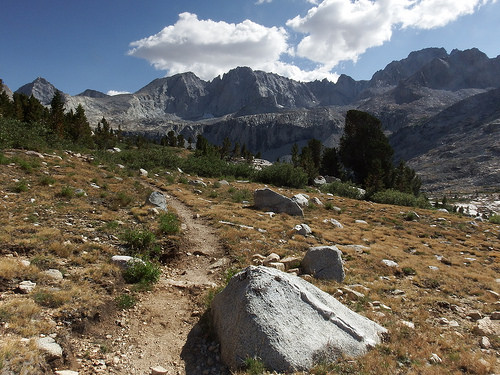 First signs of autumnal colors