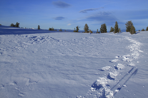 Crossing an open plateau on the east side of the lake