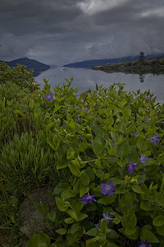 View from a street in Eastsound