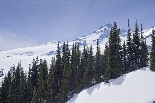 First views once we branched off Glacier Basin trail