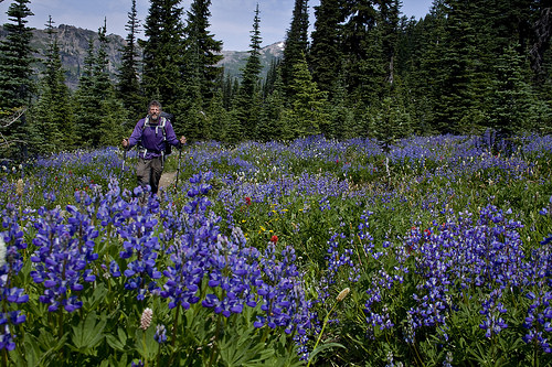 Entering Snowgrass Flats on Lily Basin Trail