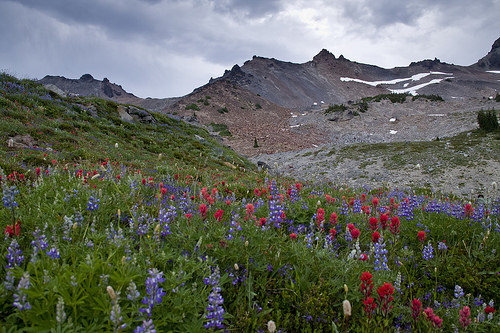 Views along the PCT through Goat Rocks