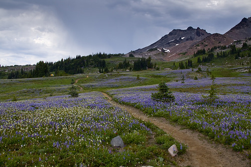 Last look at Old Snowy before dropping down to Snowgrass Flats again