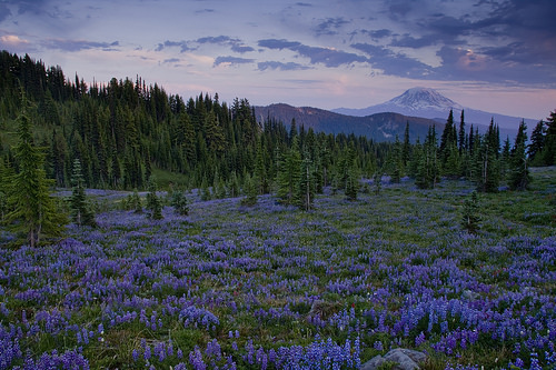 Peaceful sunset in Goat Rocks.