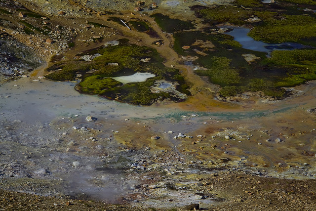 So many colors in such a small area. 