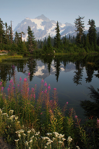 Mount Shuksan reflecting in Picture Lake. No hiking required for this shot.