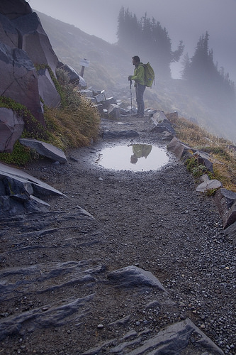 Embracing foggy day in Mount Rainier NP