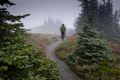 Skyline Loop Leading to Van Trump Monument.